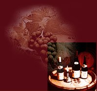 Vente aux enchres des vins des Hospices de Beaune sur Internet - 139me dition -  
